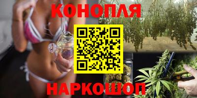 прущие грибы Канаш