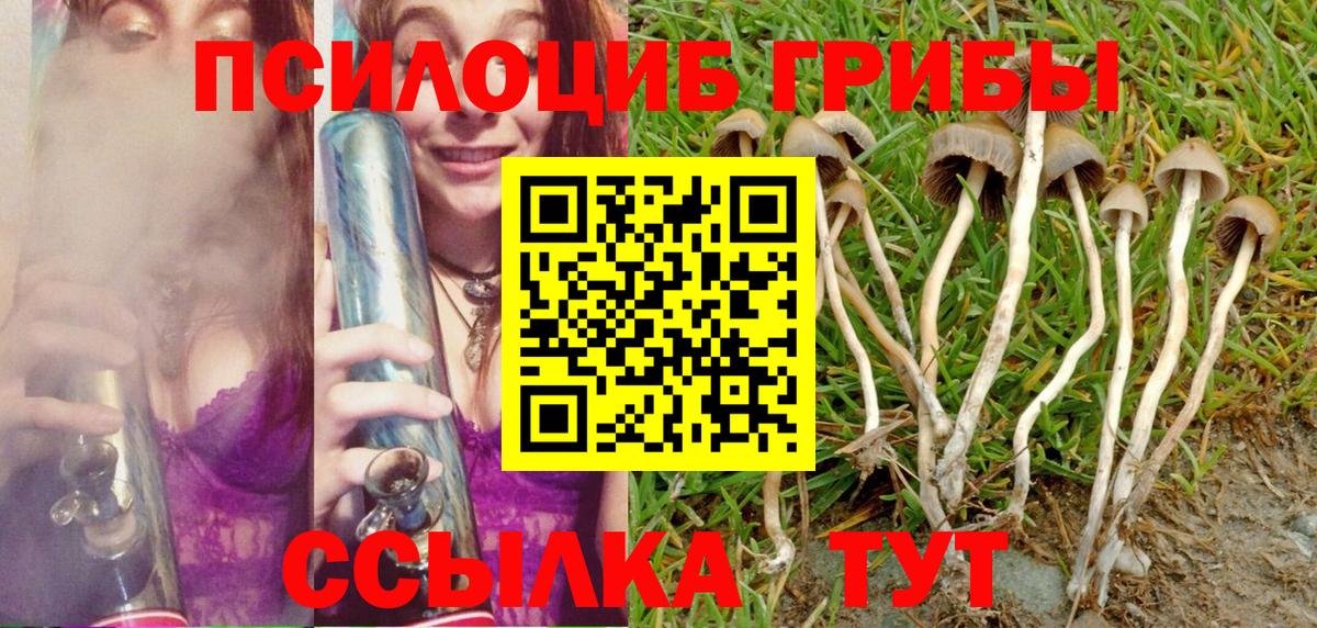 Лянтор  Галлюциногенные грибы Psilocybe  Вход с VPN  где найти   Псилоцибиновые грибы ЛСД 