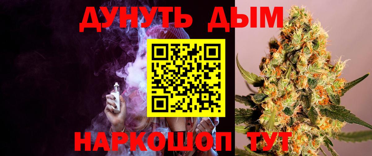Конопля сатива Лянтор
